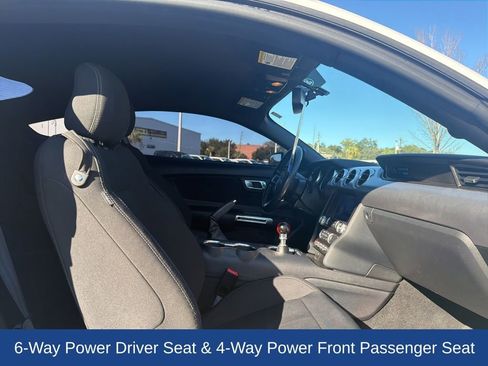 Used 2020 Ford Mustang GT w/ Equipment Group 301A image 12