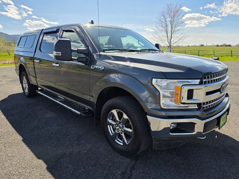Used 2019 Ford F150 XLT w/ Equipment Group 302A Luxury AWD/4WD image 3