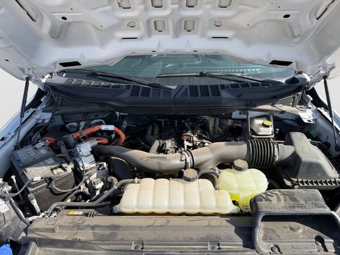 Used 2025 Ford F150 XLT w/ Equipment Group 301A Standard AWD/4WD image 29
