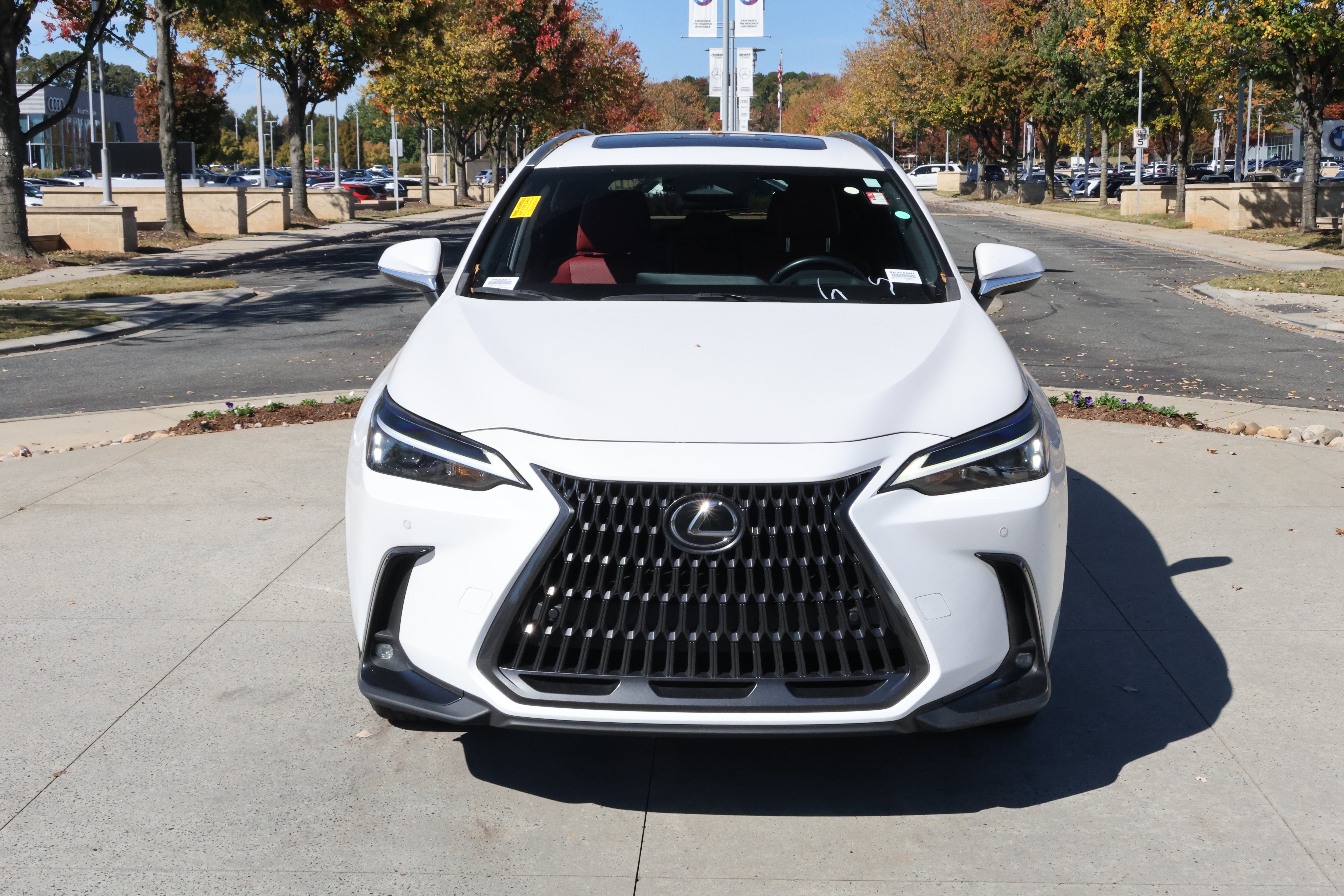 Used 2025 Lexus NX 350h AWD w/ Cold Area Package image 3