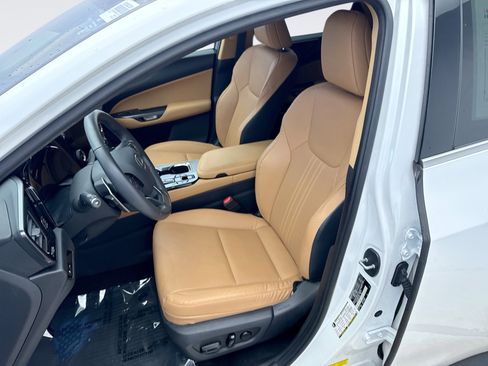 Used 2024 Lexus NX 350 AWD w/ Cold Area Package image 11