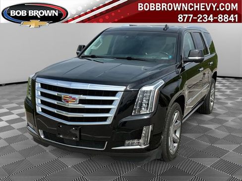 Used 2016 Cadillac Escalade Premium AWD/4WD image 1