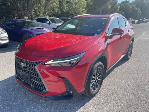 Used 2025 Lexus NX 350 AWD w/ Cold Area Package image 5