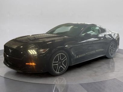 Certified 2016 Ford Mustang Premium w/ Equipment Group 201A