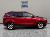Used 2017 Ford Escape SE w/ Equipment Group 201A image 4