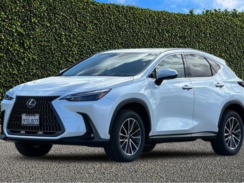 Used 2025 Lexus NX 350h AWD w/ Cold Area Package image 8