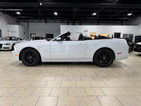 Used 2014 Ford Mustang Premium RWD image 24