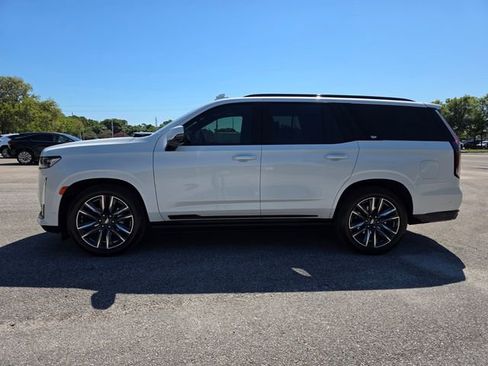 Used 2021 Cadillac Escalade Sport Platinum image 6