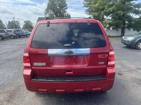 Used 2011 Ford Escape Limited w/ 302A Rapid Spec Order Code image 6