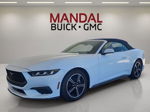 Used 2024 Ford Mustang Premium image 1