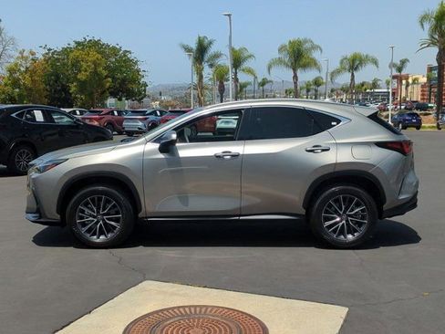 Used 2025 Lexus NX 350 AWD w/ Cold Area Package image 8
