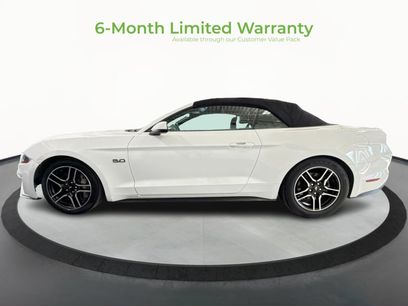 Used 2019 Ford Mustang GT Premium w/ Equipment Group 401A