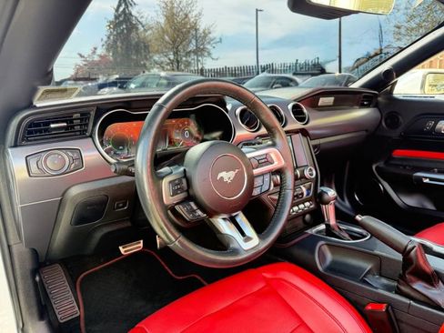 Used 2019 Ford Mustang Premium w/ Equipment Group 201A RWD image 12