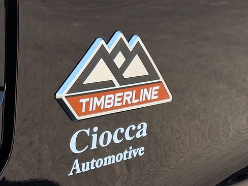 Used 2024 Ford Expedition Timberline AWD/4WD image 30