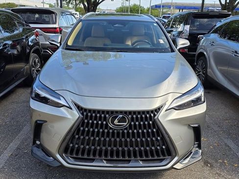 Used 2025 Lexus NX 350 AWD w/ Cold Area Package image 2