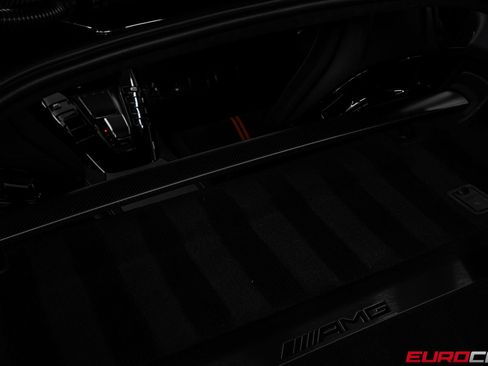 Used 2021 Mercedes-Benz AMG GT Black Series image 24