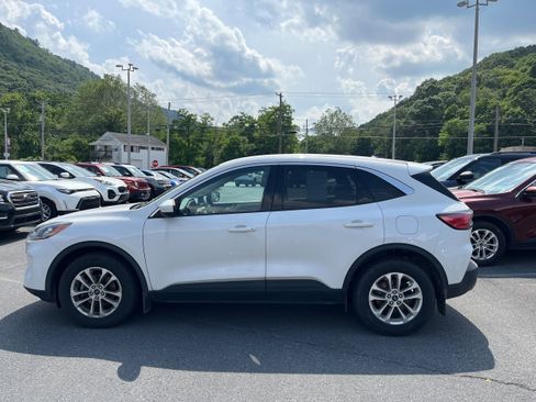 Used 2020 Ford Escape SE AWD/4WD image 5