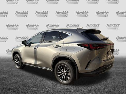 Used 2025 Lexus NX 350 AWD w/ Cold Area Package image 8