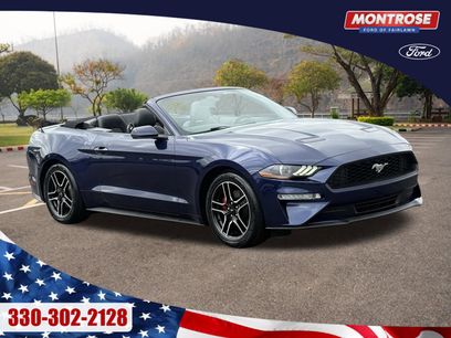 Used 2018 Ford Mustang Premium w/ Equipment Group 201A