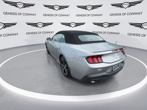 Used 2024 Ford Mustang Premium RWD image 6