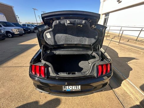 Used 2018 Ford Mustang Premium w/ Equipment Group 201A image 9