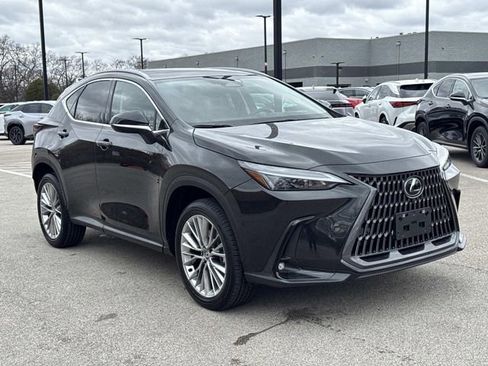 Certified 2025 Lexus NX 350h AWD w/ Accessory Package (2T) image 3