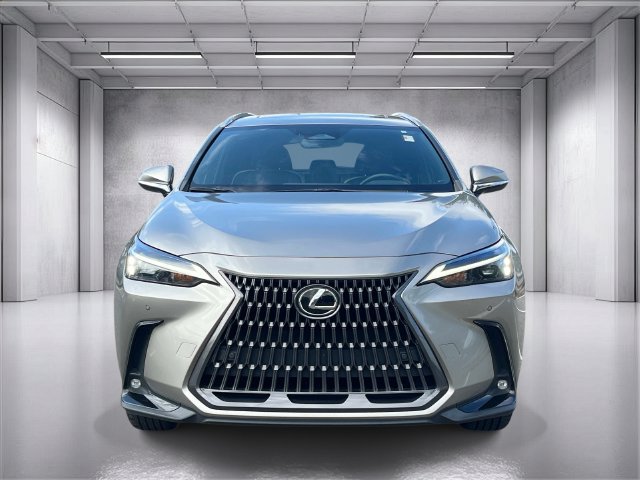 Used 2024 Lexus NX 250 FWD w/ Cold Area Package image 8
