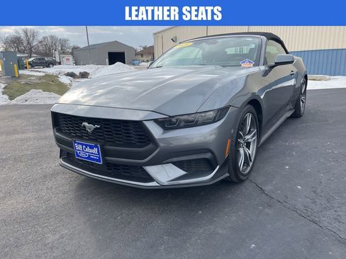 Used 2025 Ford Mustang Premium w/ Wheel & Stripe Package image 8