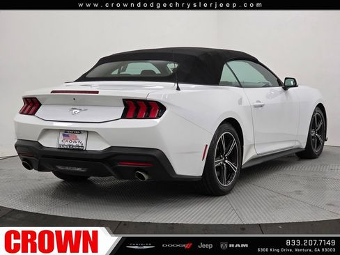 Used 2024 Ford Mustang EcoBoost image 15