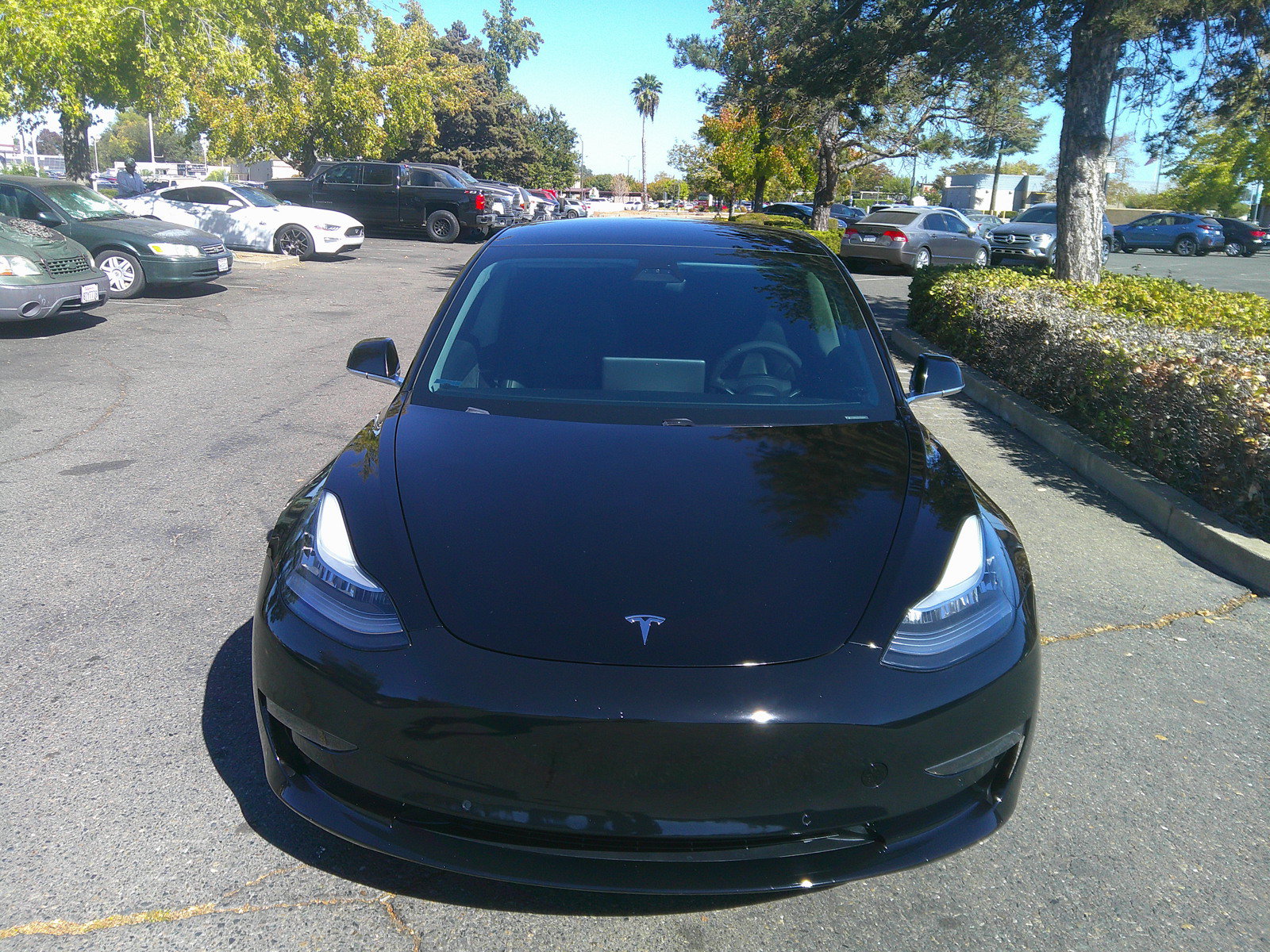 Used 2020 Tesla Model 3 Standard Range Plus RWD image 2