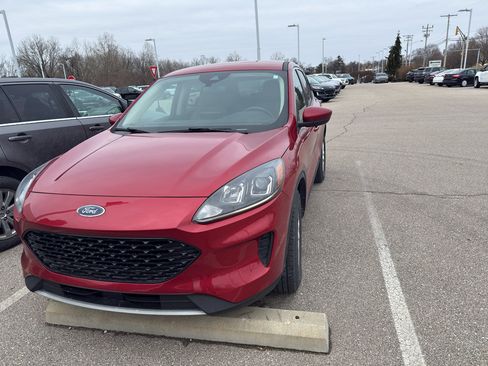 Used 2020 Ford Escape SE image 6