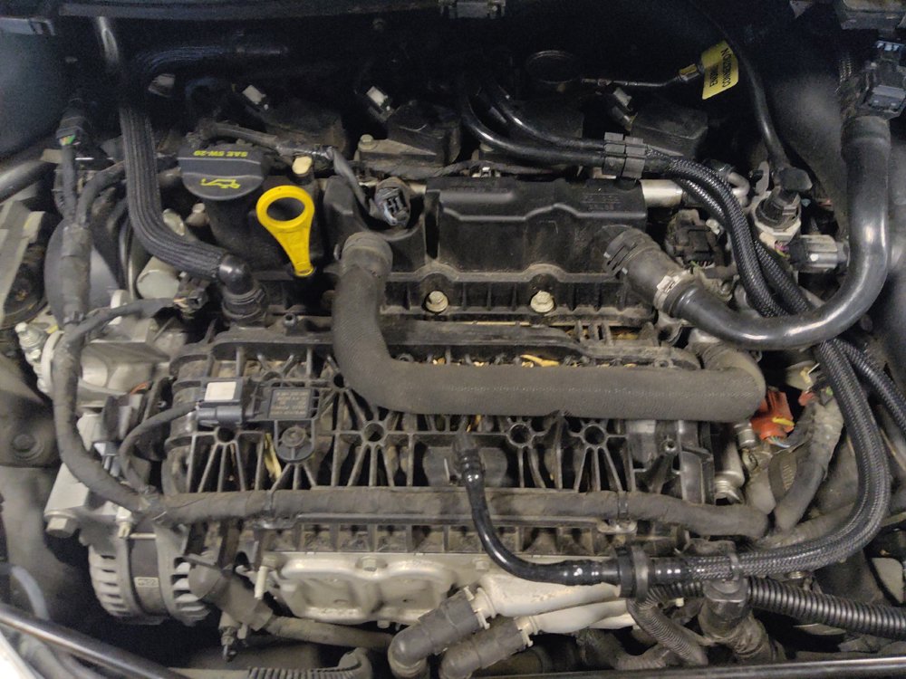 Used 2019 Ford Escape SE FWD image 30