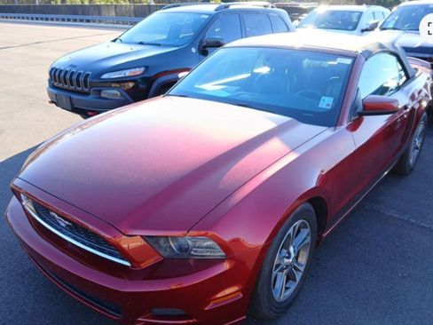 Used 2014 Ford Mustang Premium image 2