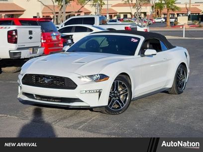 Used 2019 Ford Mustang Premium