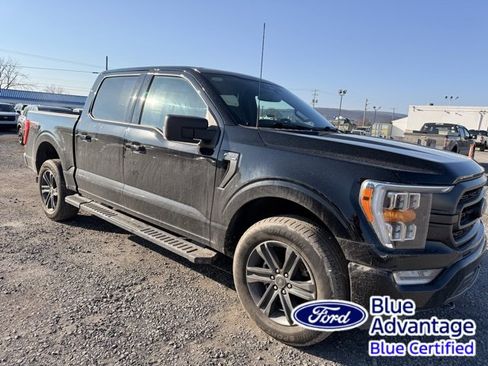 Certified 2023 Ford F150 XLT w/ Equipment Group 302A High image 4