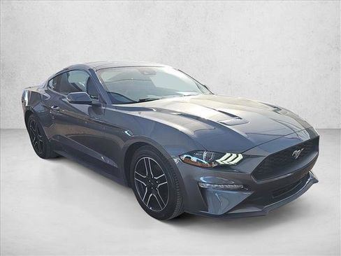 Used 2023 Ford Mustang Premium w/ Equipment Group 201A image 7