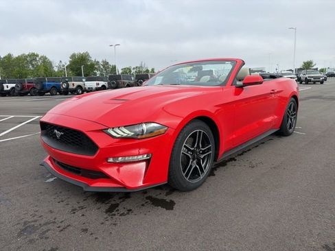 Used 2020 Ford Mustang Premium RWD image 4