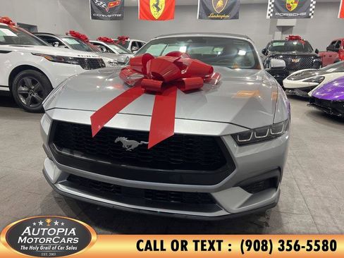 Used 2024 Ford Mustang Premium RWD image 1