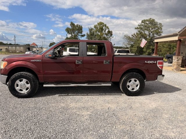 Used 2010 Ford F150 XLT AWD/4WD image 3