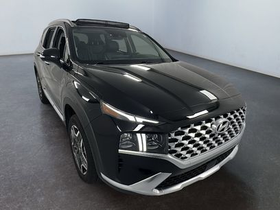 Used 2023 Hyundai Santa Fe Limited w/ Cargo Package