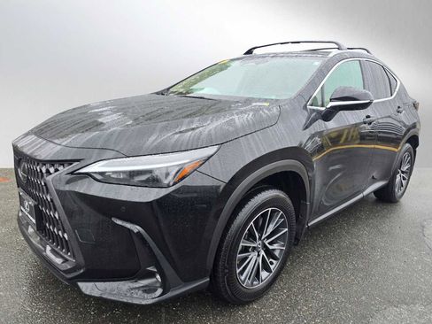 Used 2025 Lexus NX 350h AWD w/ Premium Package image 7