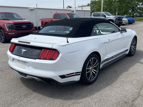 Used 2017 Ford Mustang Premium RWD image 3