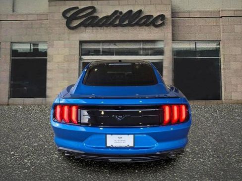 Used 2019 Ford Mustang Premium w/ Equipment Group 201A image 4