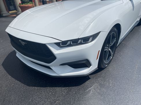 Used 2025 Ford Mustang Premium RWD image 2