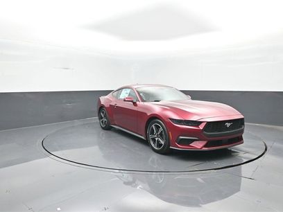 New 2025 Ford Mustang Premium