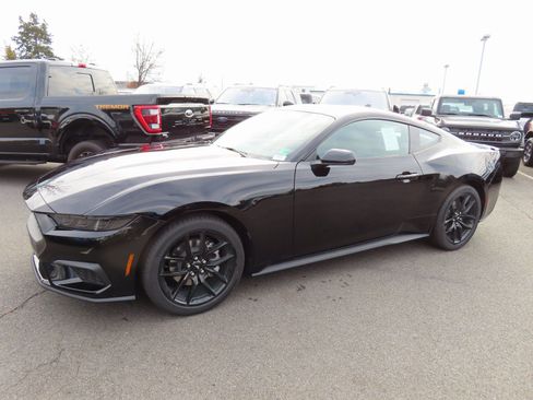 New 2026 Ford Mustang Coupe w/ Mustang Nite Pony Package image 3