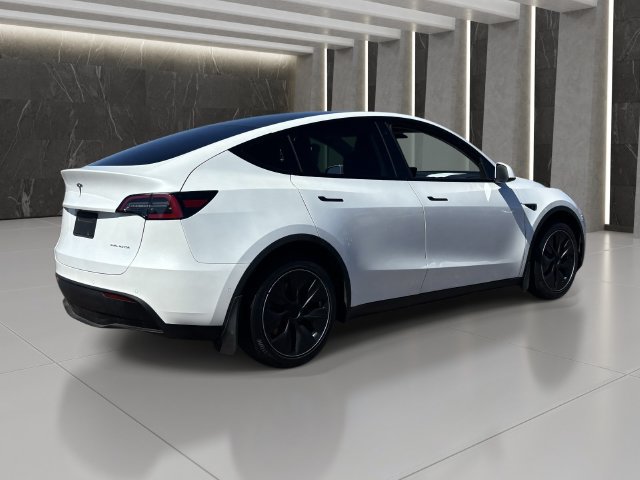 Used 2020 Tesla Model Y Long Range AWD/4WD image 6