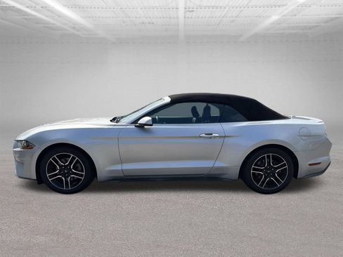 Used 2018 Ford Mustang Premium RWD image 3
