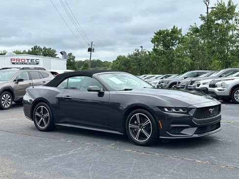 Used 2024 Ford Mustang Premium RWD image 7