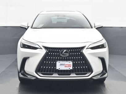Used 2024 Lexus NX 350 AWD w/ Cold Area Package